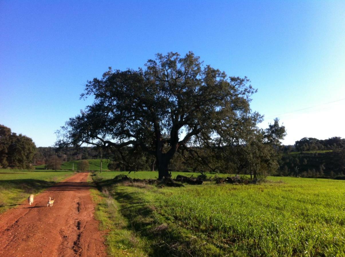 Village Loft Cercal do Alentejo Exterior photo